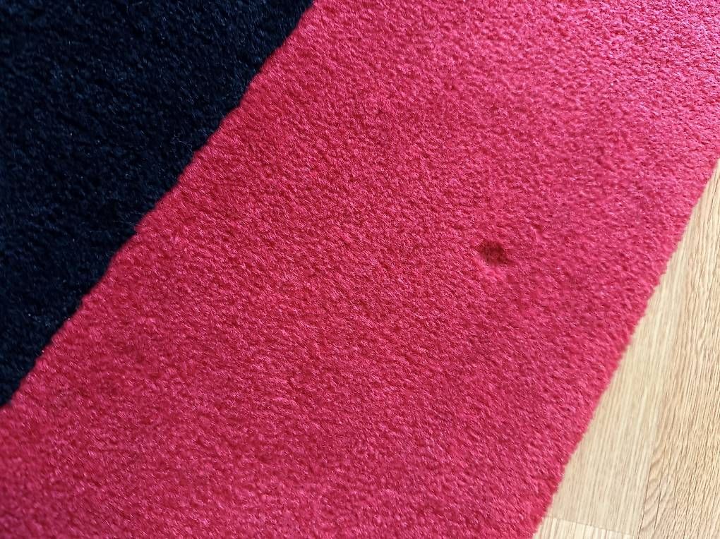 Teppiche: Bretz Teppich  – Gebraucht aus Basel von Pfuepfel 2