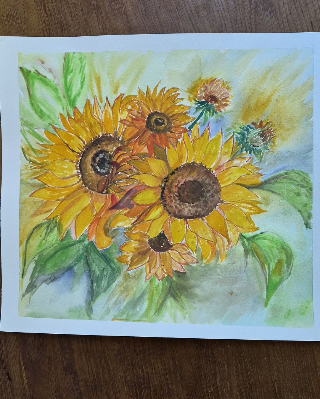 Dipinti: Sonnenblumen aqarell – Nuovo e nell'imballaggio originale da Ebikon venduto da vij_fg72 2