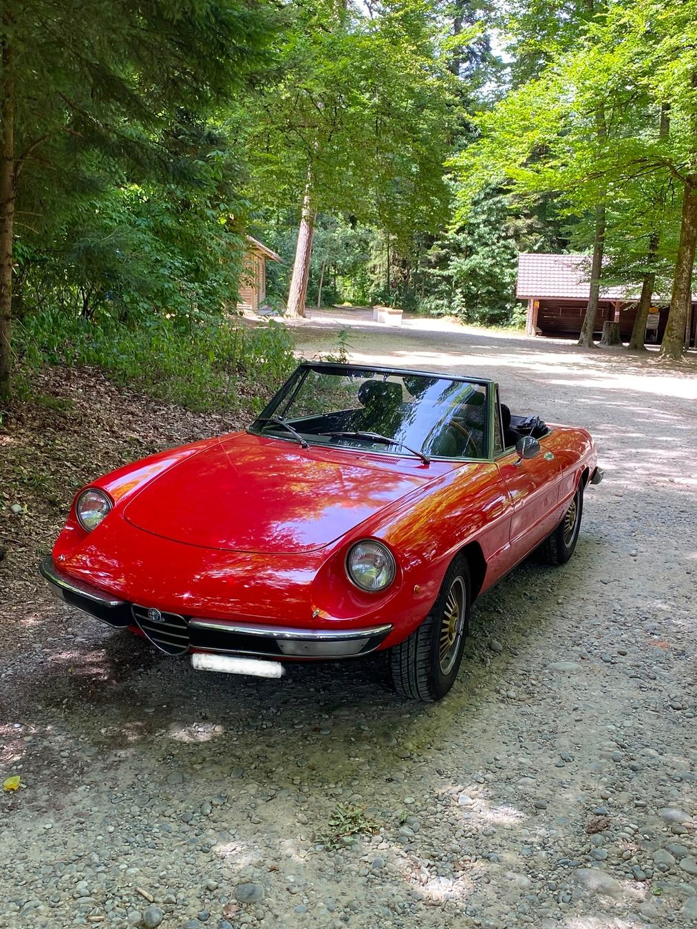 Alfa Romeo Autos: Alfa Romeo 2000 Spider – Gebraucht aus Freienwil von CharlieFirpo 2