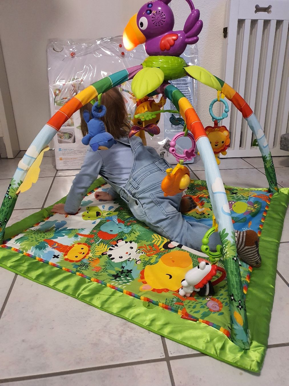 Tiro con l'arco: Spielbogen FisherPrice – Usato da Warth venduto da Sybi_E 2