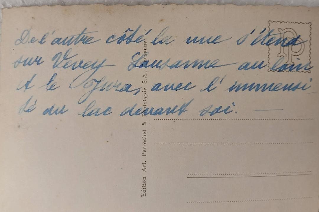 Cartoline postali: MONTREUX et Dents du Midi – Usato da Delémont venduto da Domdom1 1