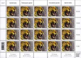 Bogen Filmfestival Locarno**