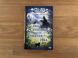  Das Geheimnis von Hester Hill, Kristina Ohlsson