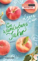 Dave Laura - Ein wunderbares Jahr / Roman