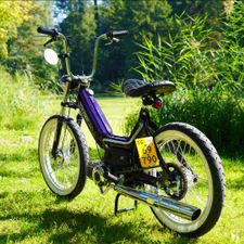 Profile image of golina01