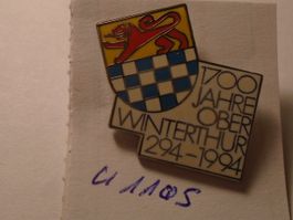 1 Oberwinterthur 1700 Jahre 294-1994 Pin (U1105)