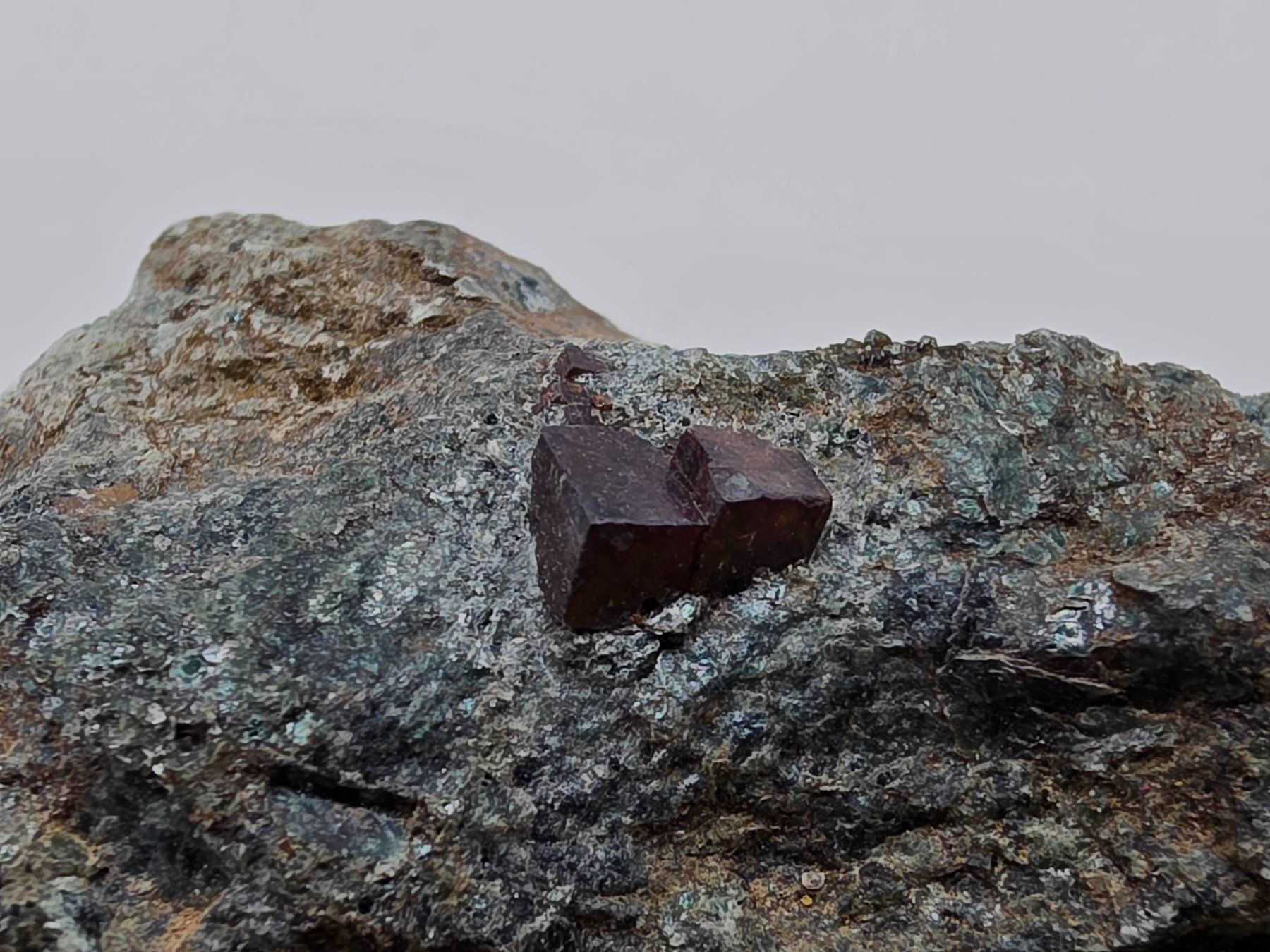 Mineralien & Heilsteine: Perovskite Rocca Sella Italy – Gebraucht aus Figino von minshop 1