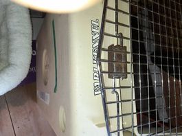 Hunde Box zum Reisen gross