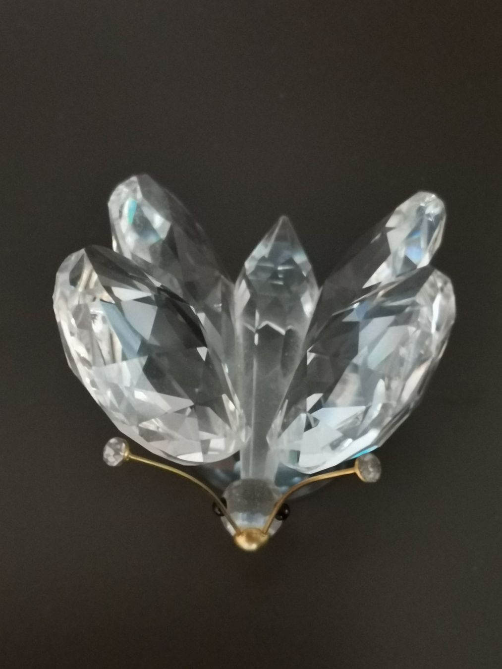 Swarovski Figuren: Swarovski Schmetterling – Neu (gemäss Beschreibung) aus Seuzach von Tritis01 6