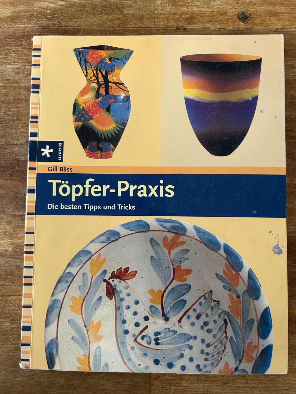 Libri: Töpfer-Praxis: Gill Bliss – Usato da diessenhofen venduto da Susanne4222