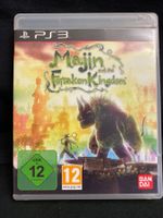Majin and the Forsaken Kingdom I PS3 I