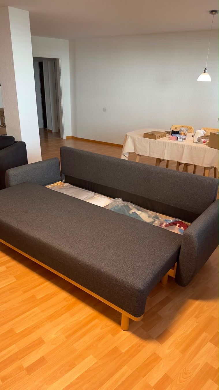 Ikea Divani: sofa bed – Nuovo (secondo la descrizione) da Kriens venduto da wmi_8chn 2