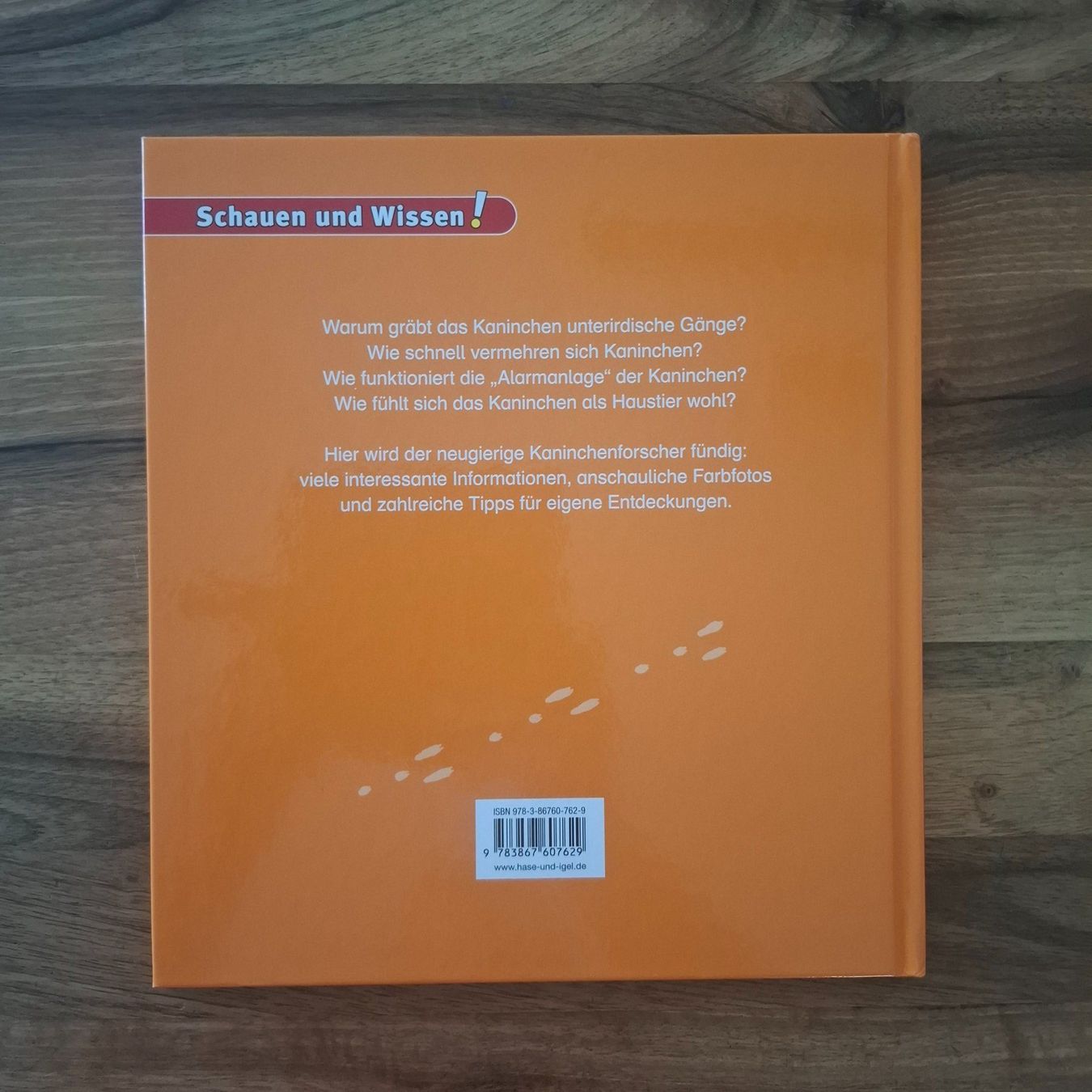 Libri: Buch Ratgeber "Das Kaninchen" – Nuovo (secondo la descrizione) da Sisseln AG venduto da Tropea4334 1