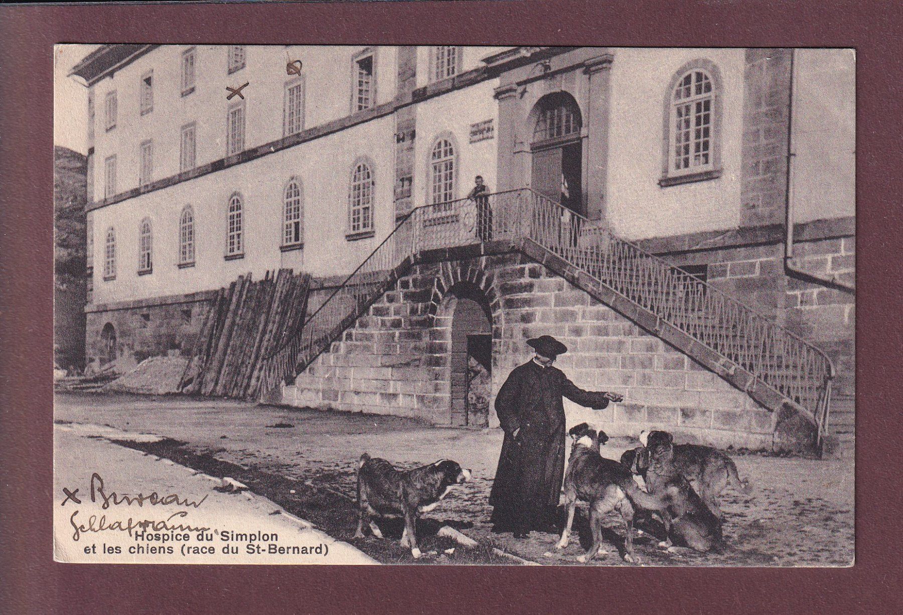 Ansichtskarten: Hospice du SIMPLON - Maître et chiens - 1916 - Feldpost – Gebraucht aus Pully von nicecards
