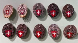 SAC Schweiz Alpenclub Abzeichen, 10 Stk, plus Anhänger #5