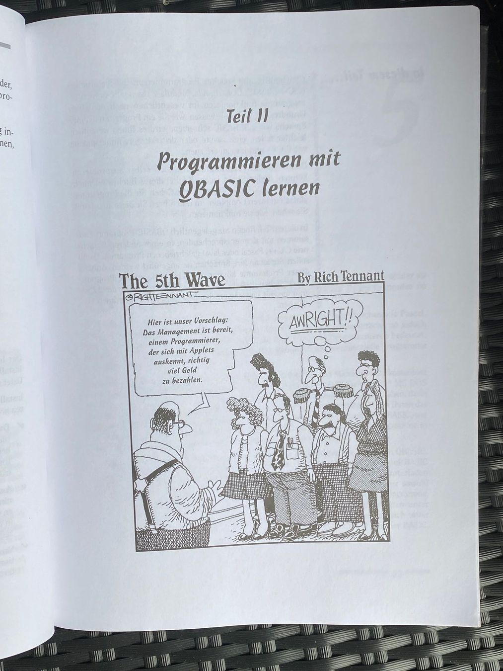 Libri: Programmieren für Dummies – Usato da Kreuzlingen venduto da don_ueli6wb5 6