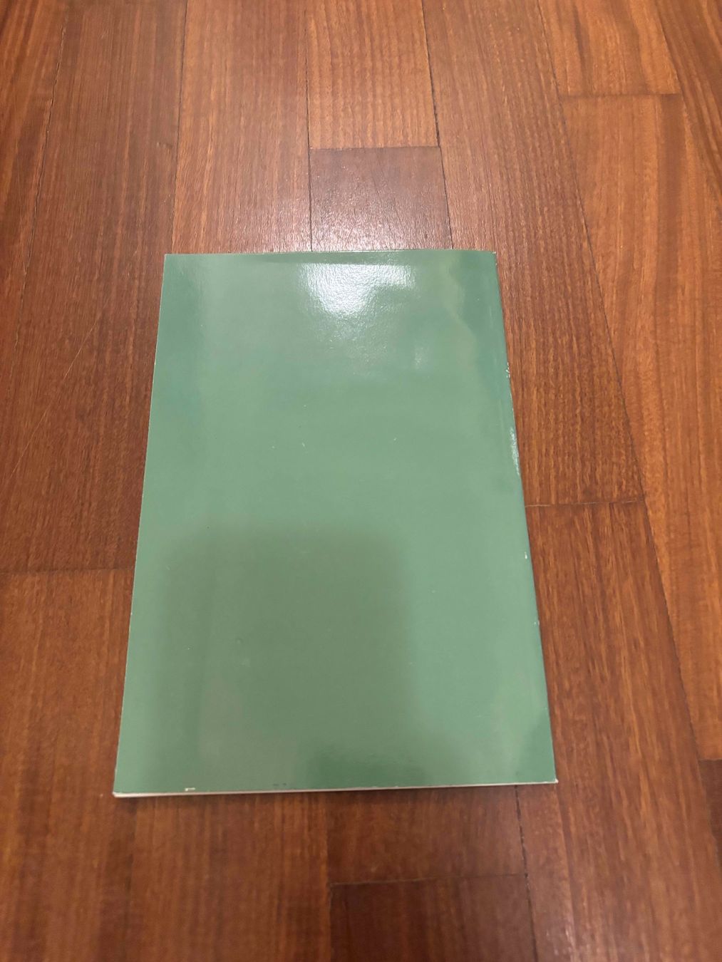Libri: Goya - Oggi Electa – Usato da Lugano venduto da Mark_Young 2
