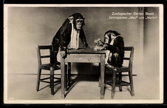Cartoline postali: Basel, Zoologischer Garten, Schimpansen  – Usato da Berlin venduto da bartko-reher