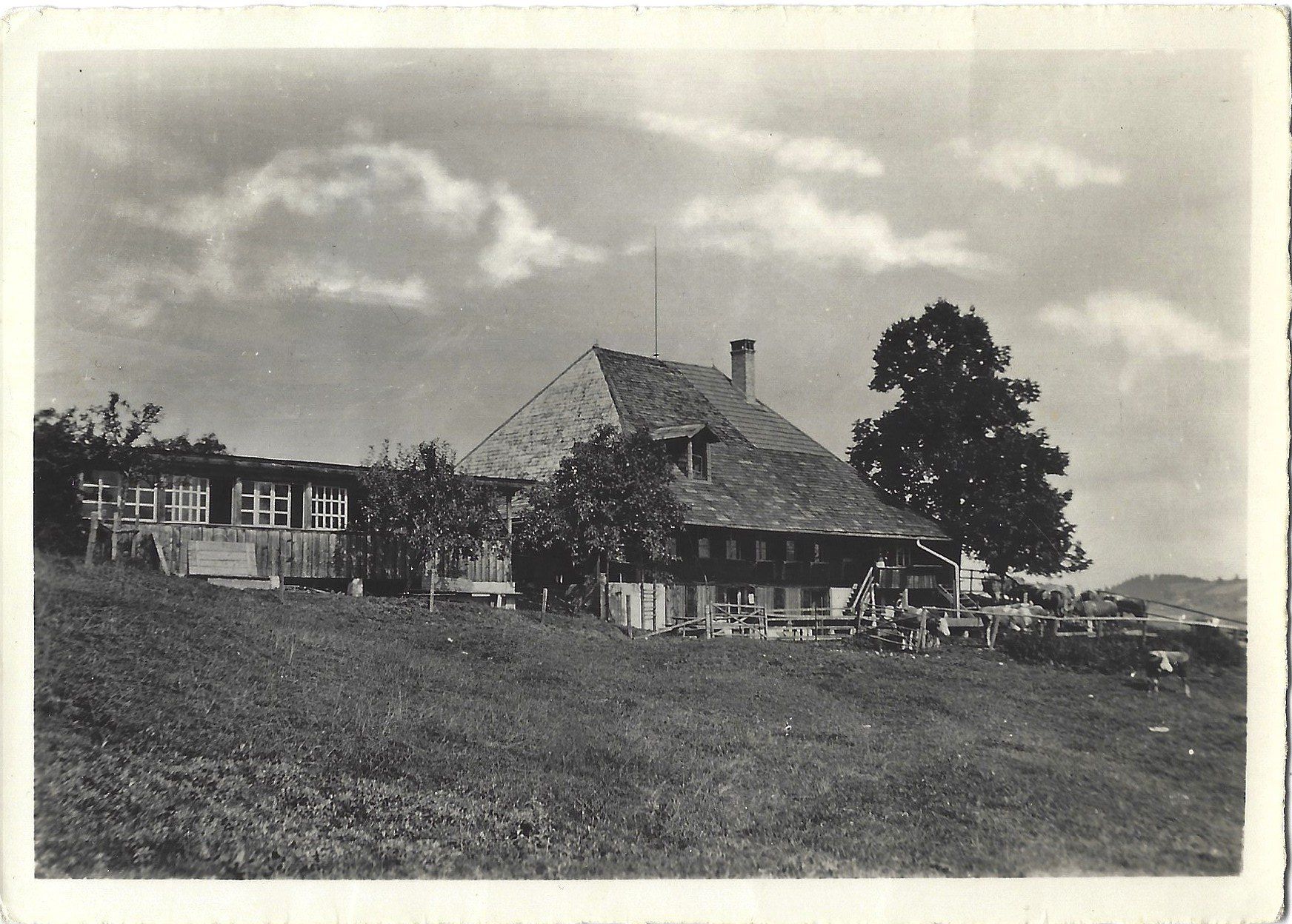 Cartoline postali: Ferienheim  Schwendeli  Rötenbach  i.E. – Usato da Bütschwil venduto da Jackson1A
