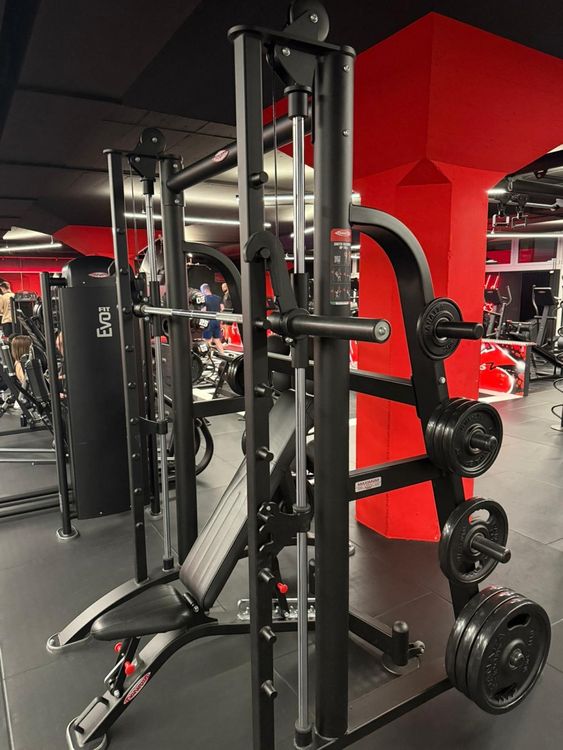 Panatta Multipresse (Gebraucht) in Menziken für CHF 900 – nur Abholung ...