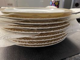 9 Stück Speiseteller/ Rosenthal /keine Kratzer / S/G/W /Neu,