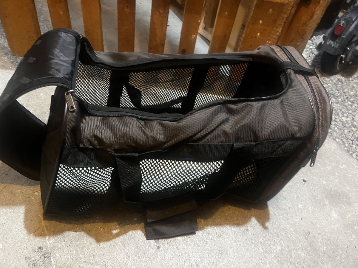 Taschen: Hundetasche – Gebraucht aus Bülach von NatalliaB-K 1