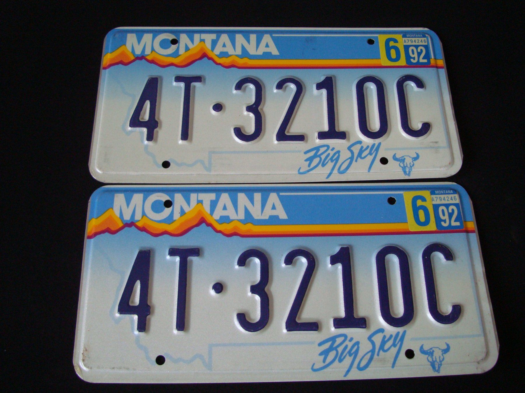 Insegne: MONTANA 4T 3210C – Usato da Scherz venduto da 5246