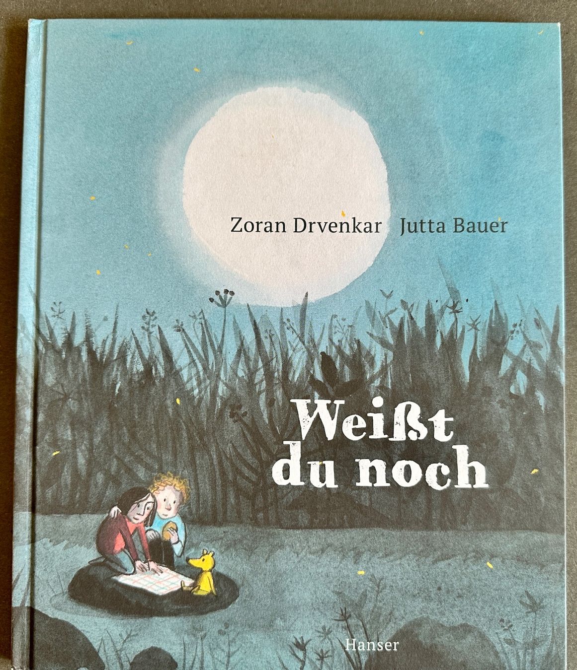 Bücher: Bücherpaket 5 Bilderbücher, neuwertig – Gebraucht aus Zürich von allp 1