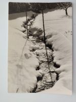 Fluss im Schnee, gestempelt 3600 Thun dat.1970