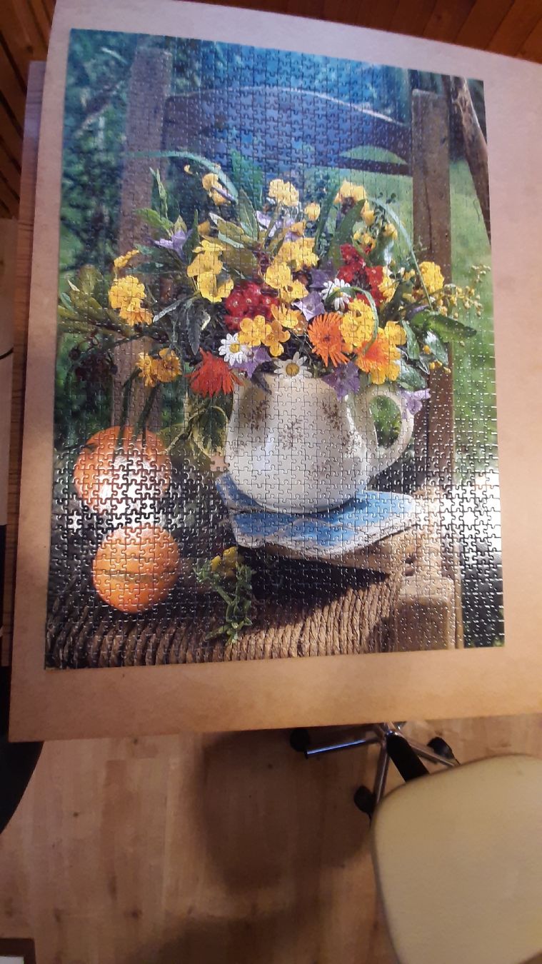 Puzzle: Puzzle – Usato da Seengen venduto da elav