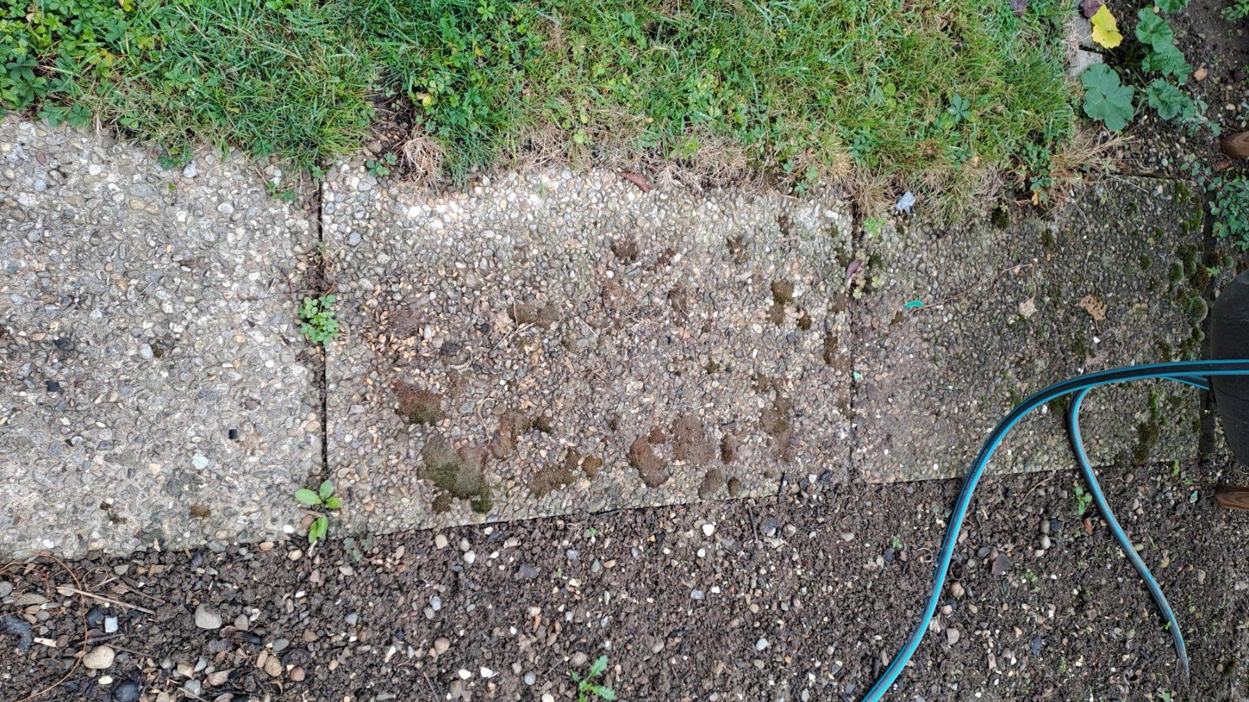 Bodenbeläge: Betongartenplatten – Gebraucht aus Wuppenau von sodastream 1