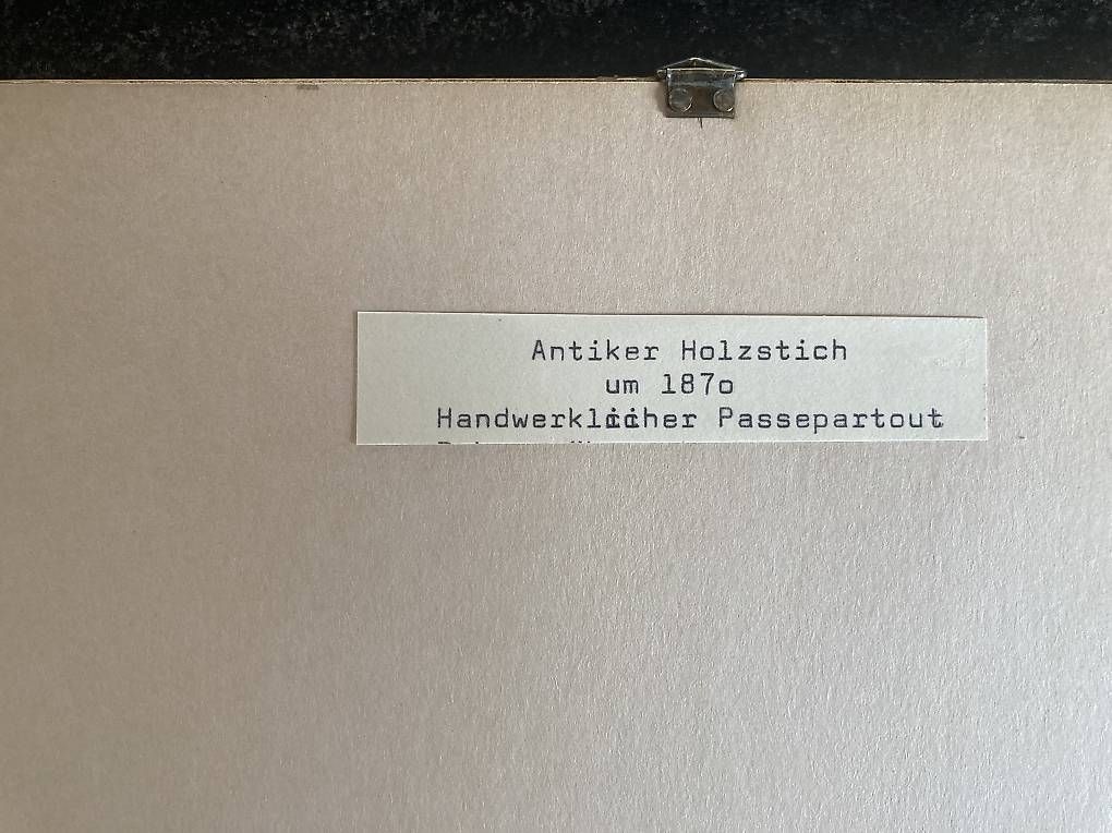 Incisioni: Antiker Holzstich um 1870 – Usato da Staad SG venduto da gab_7dr9 3