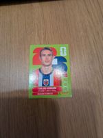 Panini NOR8