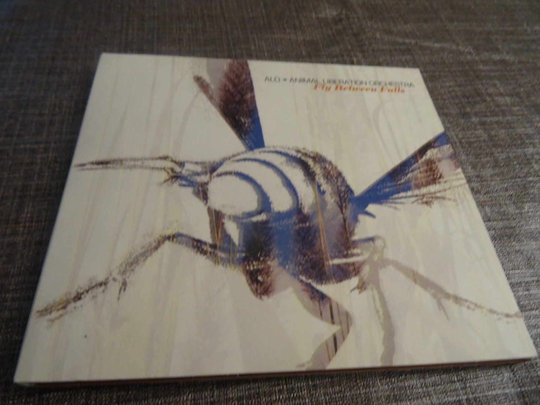 CD: ALO – Fly Between Falls CD – – Usato da Olten venduto da Disc-Ausverkauf