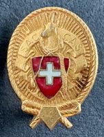 ANSTECKNADEL SAC GOLDFARBIG