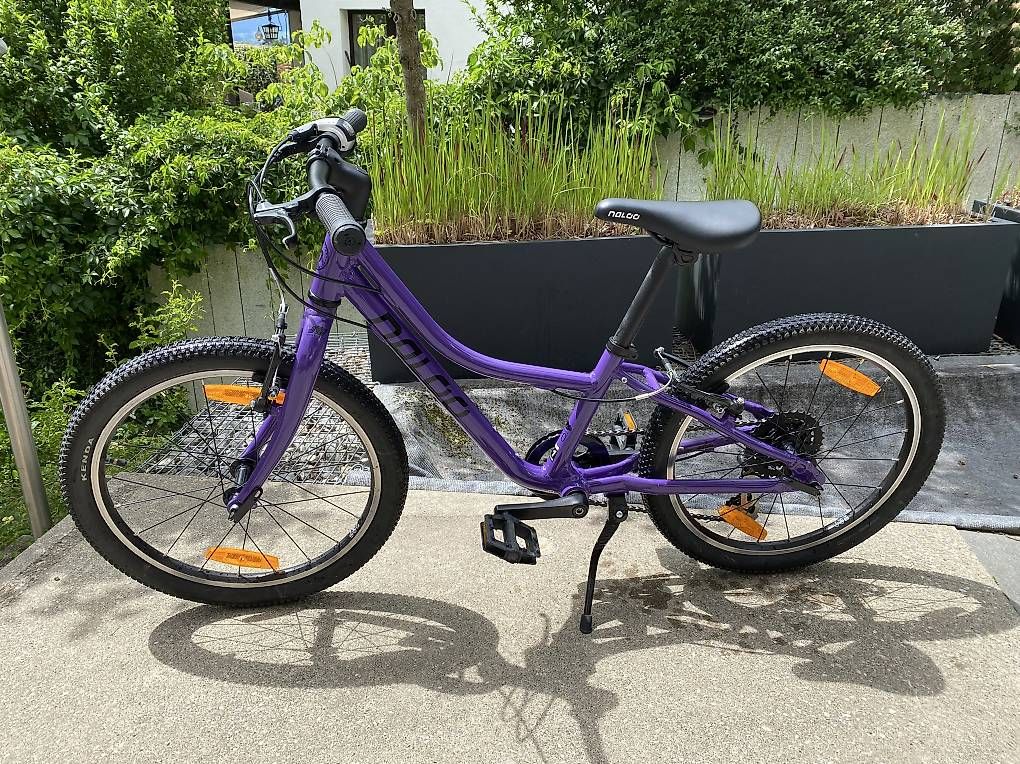 Naloo Velos: Kindervelo Naloo Chameleon MK2, 20" – Gebraucht aus Hombrechtikon von bluelake83