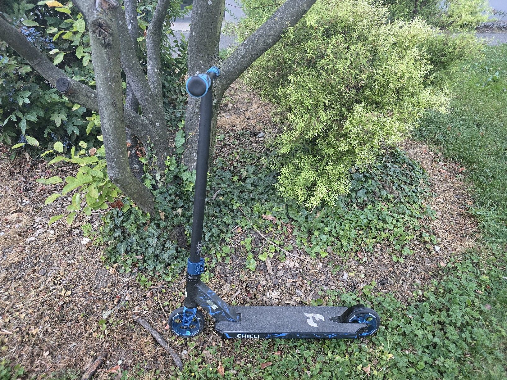 Scooters: SCOOTER - Wahrscheinlich Stuntscooter CHILLI Pro 2-3-4  – D'occasion à Muttenz par lan_jt96 1