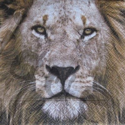Tovaglioli: Serviette löwe (t243) – Nuovo (secondo la descrizione) da Schlatt TG venduto da kreativ-atelier