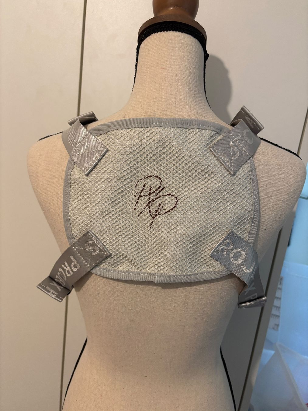 Altro in  Abbigliamento & Accessori: Sac Project X Paris gris neuf – Nuovo (secondo la descrizione) da St-Aubin-Sauges venduto da val_xz9c 1