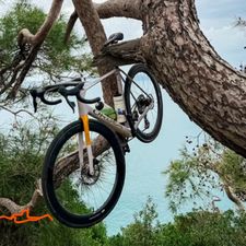 Profile image of b.al32