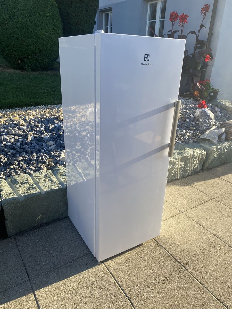 Electrolux Kühlschrank: Kühlschrank Elektrolux SC 310 Coolerr – Gebraucht aus Dietschwil von soendi01 1