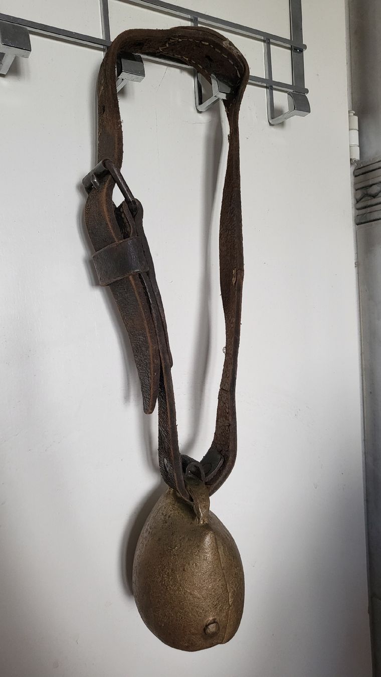 Campanacci mucche: Kuhglocke mit Lederriemen  – Usato da Ebmatingen venduto da LaPassiflora