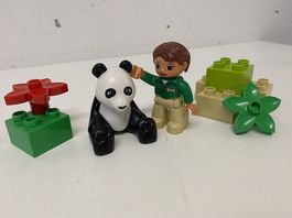 LEGO Duplo 6173: Pandabär