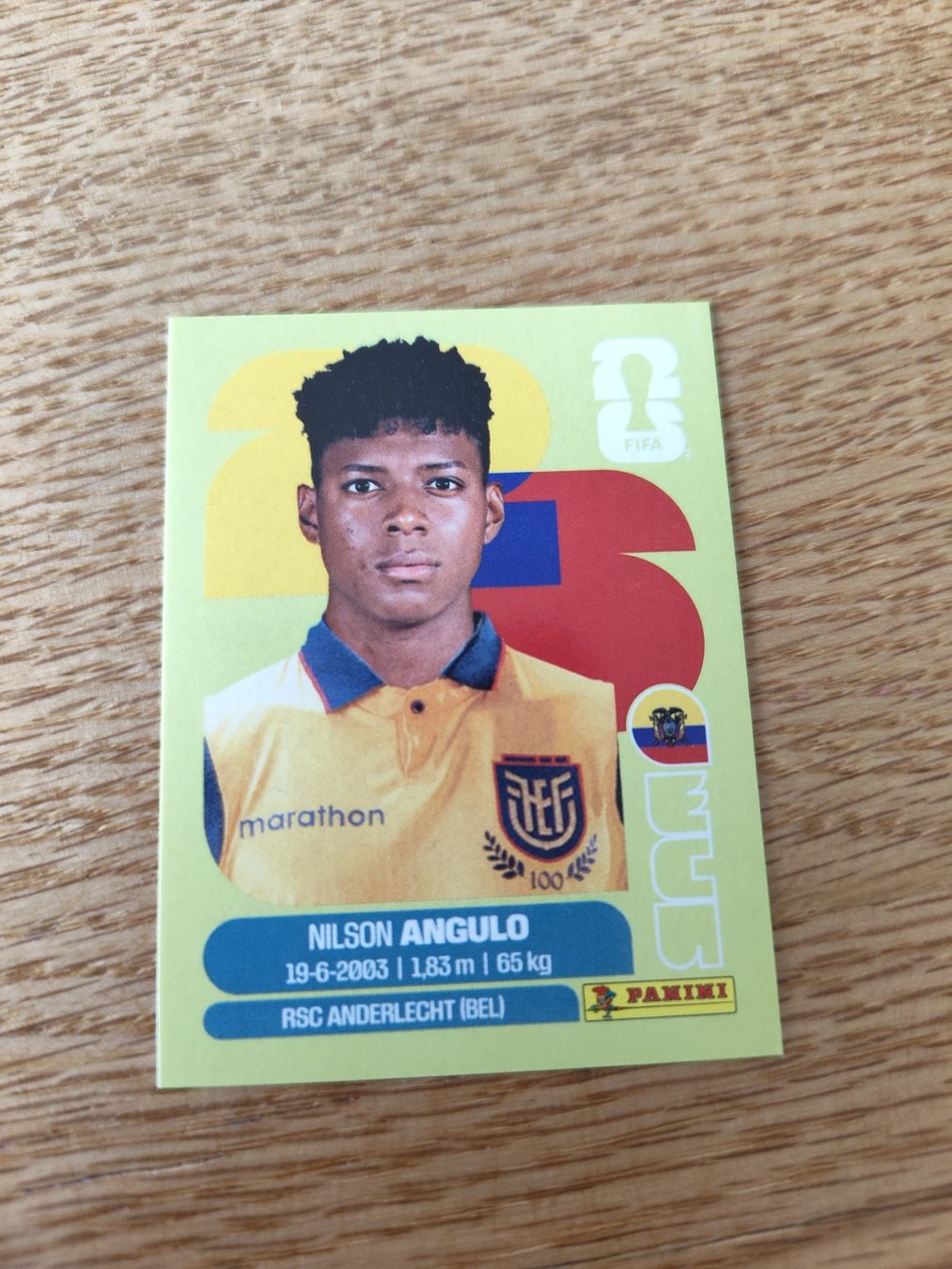 Panini Carte collezionabili: Panini Wm 2026 Ecu 17 – Nuovo (secondo la descrizione) da Lieli venduto da Maholo