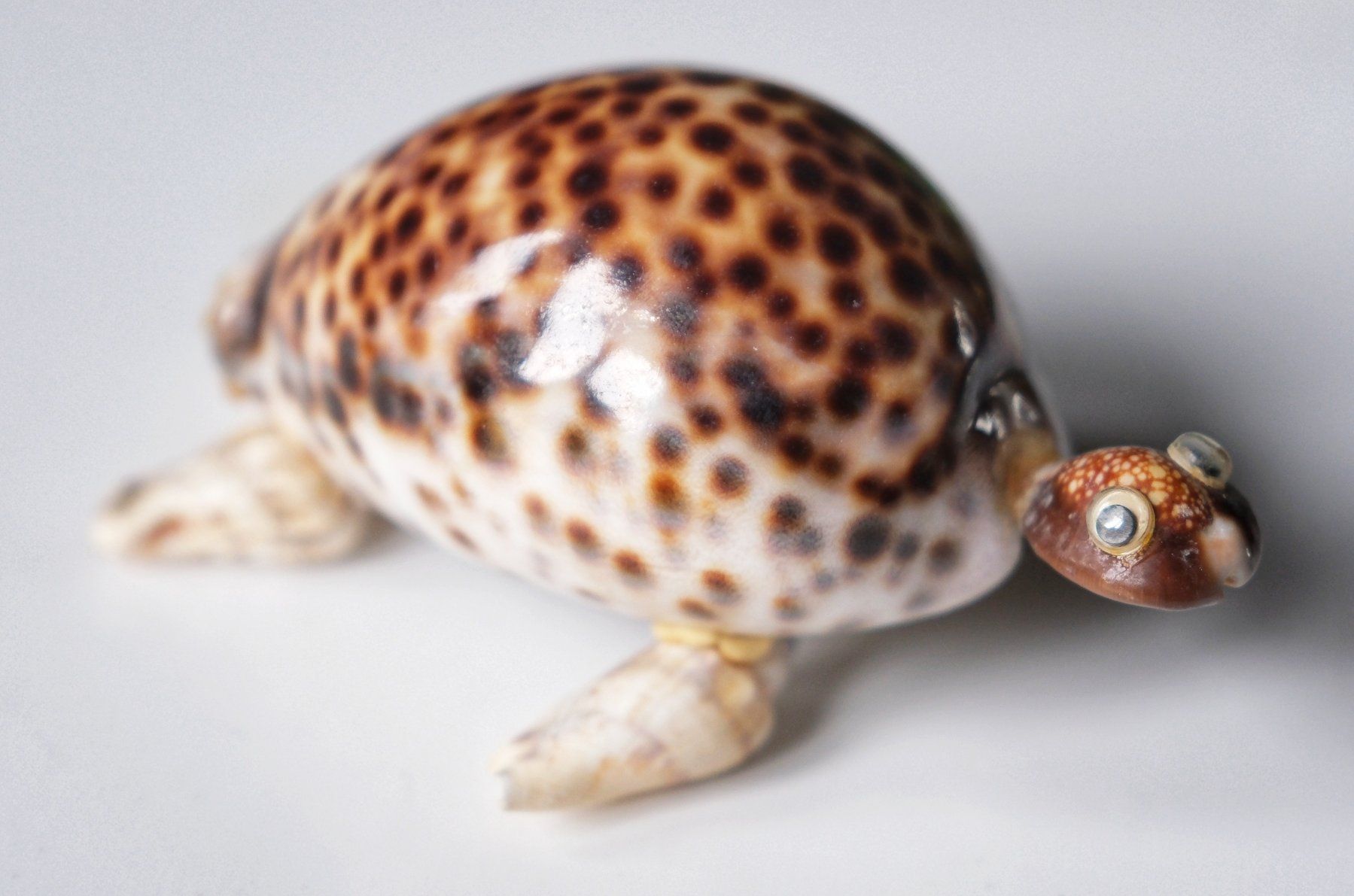 Figuren: Schildkröten Figuren/Sammlung – Gebraucht aus Wohlen AG von  6
