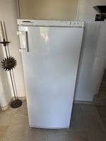 Liebherr Gefrierkühlschrank funktionstüchtig