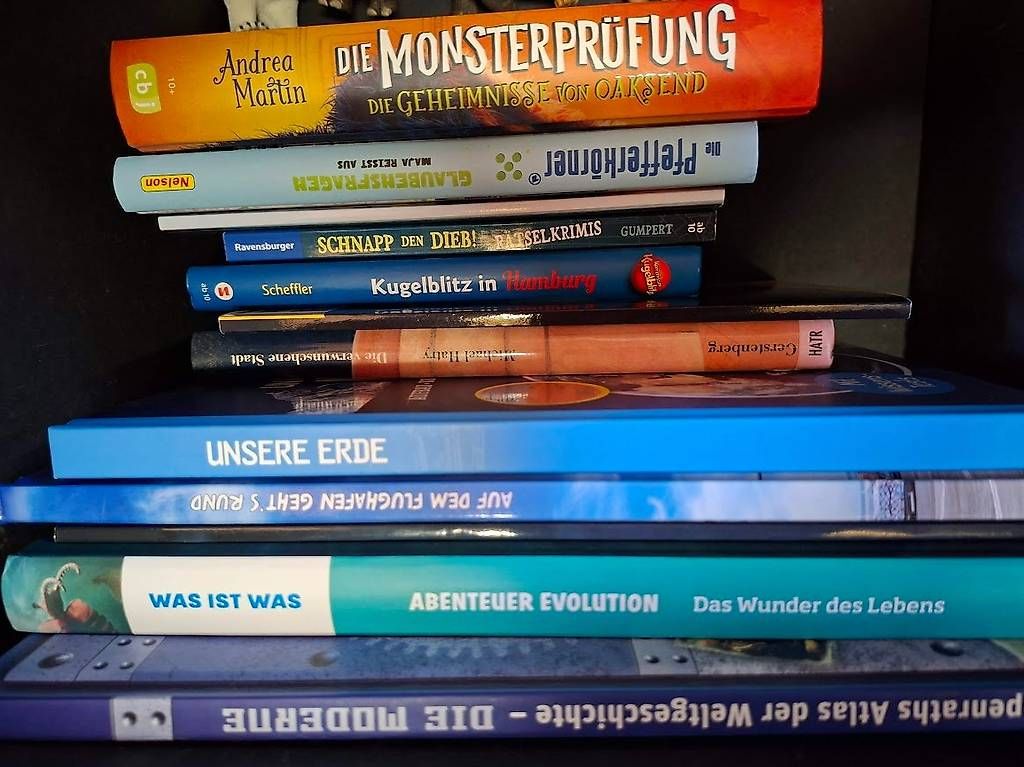Bücher: Diverse Kinder- und Jugendbücher – Gebraucht aus Reinach BL von schnitz008