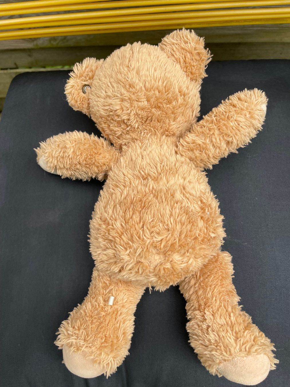 Steiff Giocattoli: Teddy-Bär – Usato da Forch venduto da ESELSTEIN 2