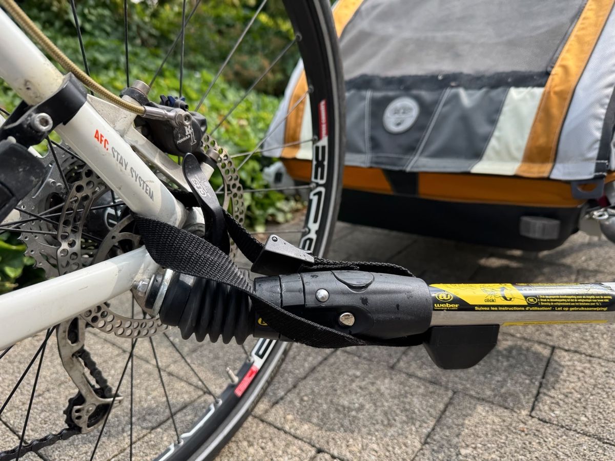 Anhänger: Fahrradanhänger Chariot cx2 – Gebraucht aus Landschlacht von eva_lzh9 1