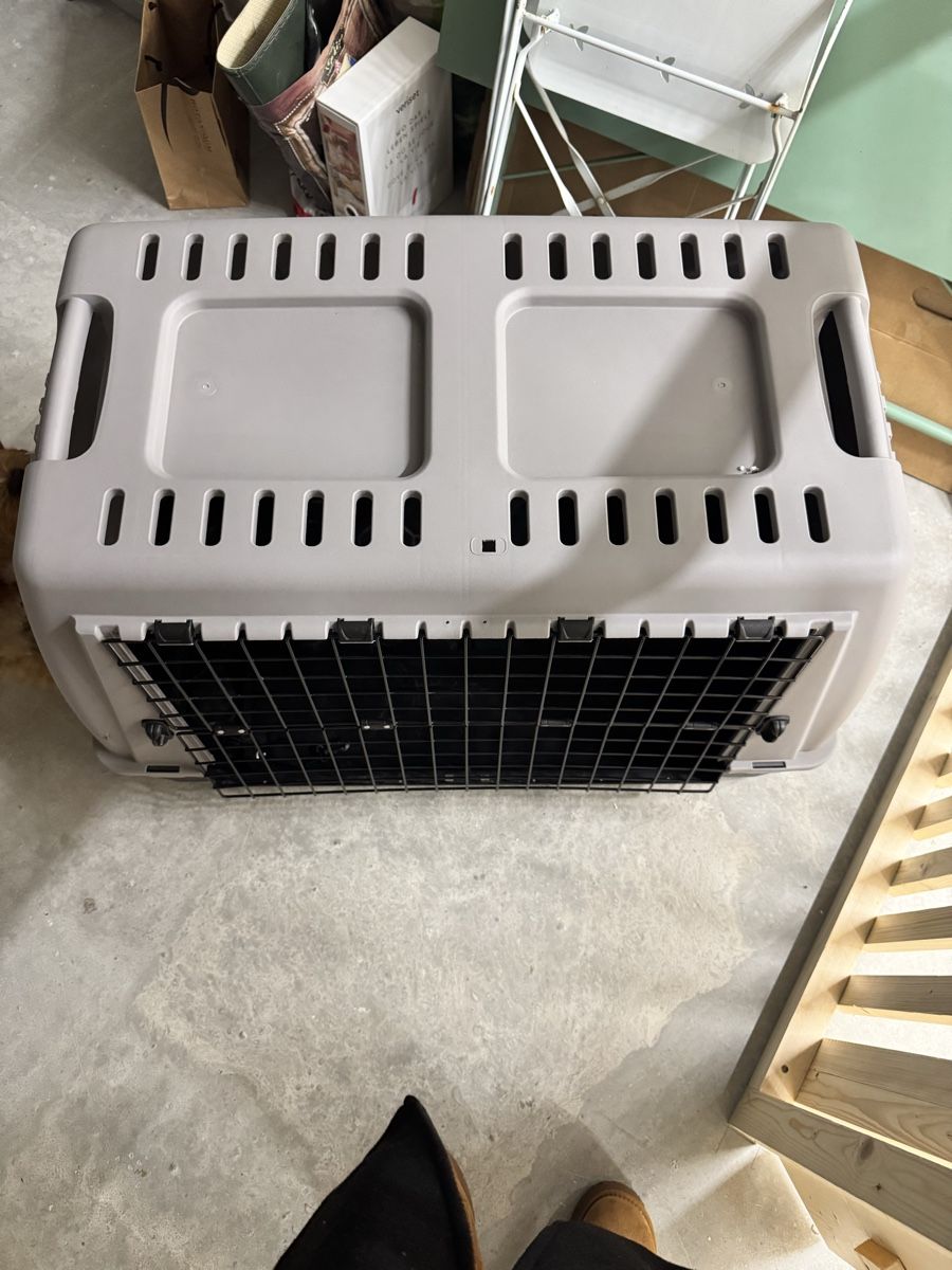 Gabbie, trasporto & Sicurezza: Grosse, stabile Transportbox für Hunde oder Katzen – Usato da Zürich venduto da ann_5jfx 1
